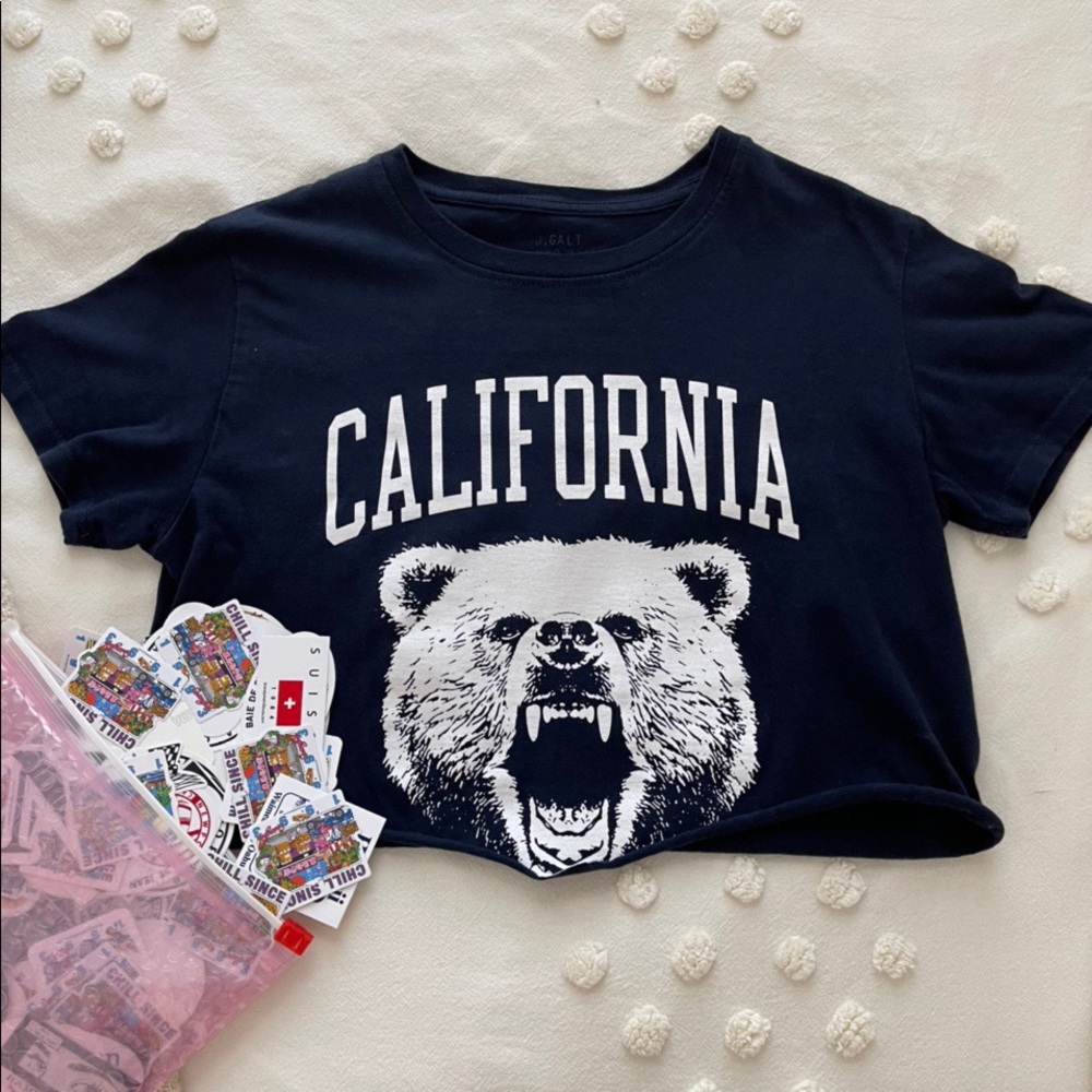brandy melville california cropped bear tee